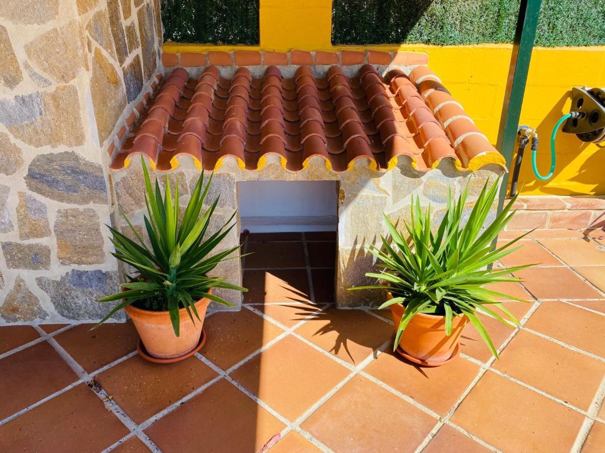Guadalmina - Fantástica En Con Piscina, Playa A 800m Villa *