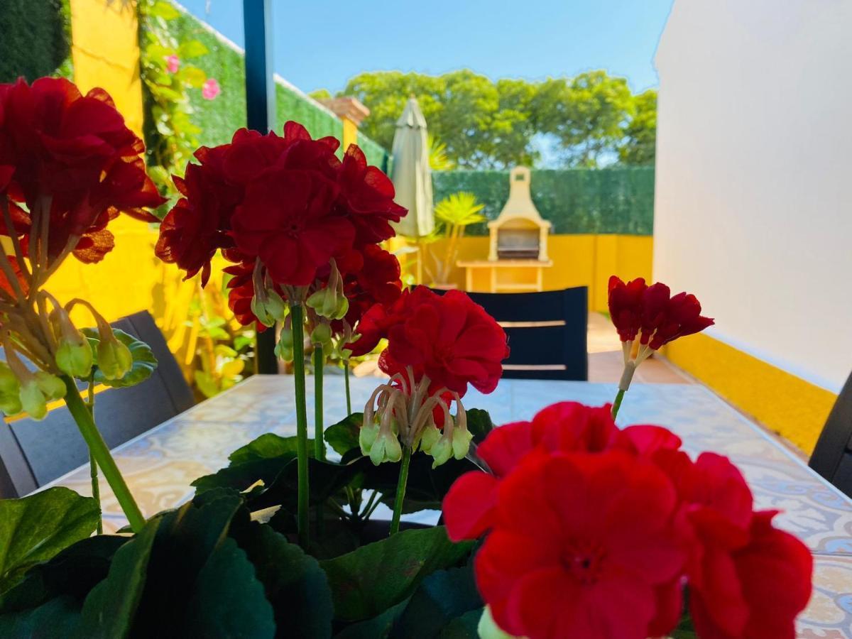 Guadalmina Bonita Con Piscina Playa 800m Villa Marbella
